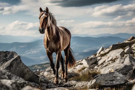 The Horse In Rocky Terrain, Demonstrating Agility Against A Mountainous Backdrop