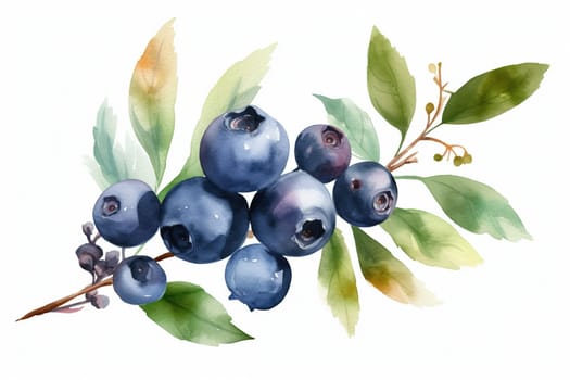 watercolor painting of fresh blueberry berries on the branch on white background , generative AI