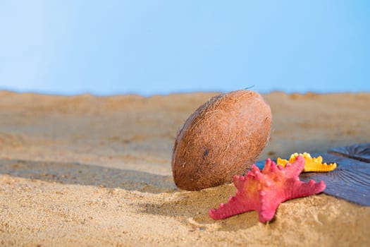 Blue sky. Ripe Coconut. Sunny beach sea shore. Two starfish Buried plank in a squeak.