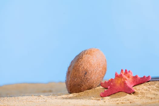 Blue sky. Ripe Coconut. Sunny beach sea shore. Two starfish Buried plank in a squeak.