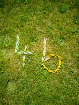 Number 46 made from clothes pegs lying on the lawn.