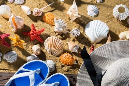 The summer hat lies on the bridge next to the beach flaps. Sea shore beach full of snail shells.