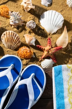 Blue striped towel. A set of beach flip-flops. Many abandoned snail shells. Sunny and sandy sea beach.