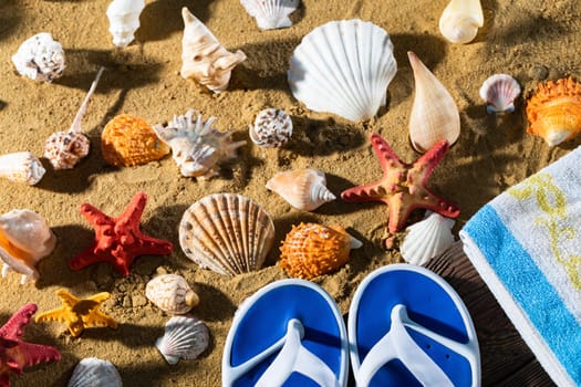 Blue striped towel. A set of beach flip-flops. Many abandoned snail shells. Sunny and sandy sea beach.