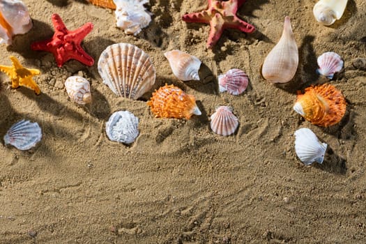 Limestone shells of snails. Abandoned shells lie on the beach. Sandy shore of the sea beach.