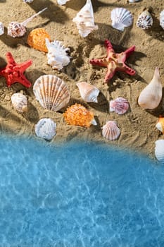 Bright blue sea waves wash the sandy beach full of empty snail shells.