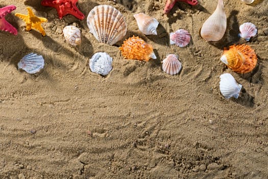 Limestone shells of snails. Abandoned shells lie on the beach. Sandy shore of the sea beach.