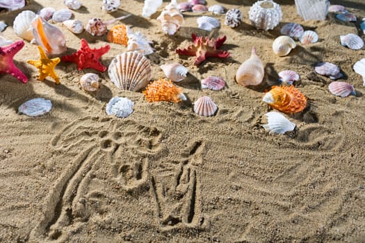 On the sand the tourist wrote a drawing - palm trees. Relaxing climate of a sea sandy and sunny beach.