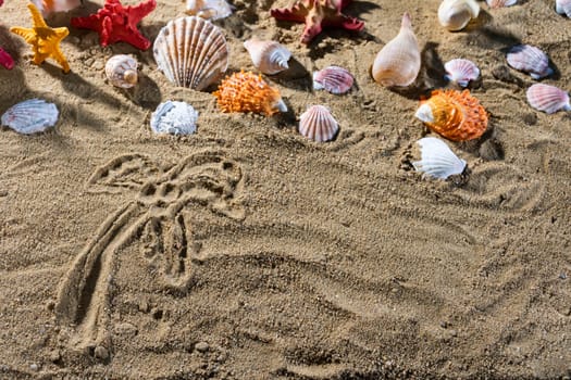 On the sand the tourist wrote a drawing - palm trees. Relaxing climate of a sea sandy and sunny beach.