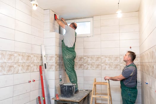 A middle-aged employee deals with laying tiles on the wall in the bathroom. An experienced construction worker.