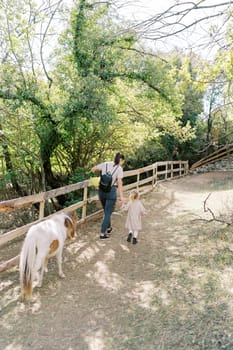 Pony follows a mother and a little girl walk holding hands along a fence in the park. Back view. High quality photo