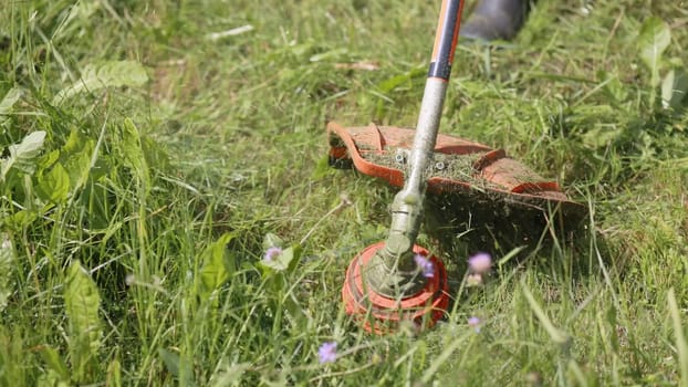 A man mows the grass with a trimmer on a summer day