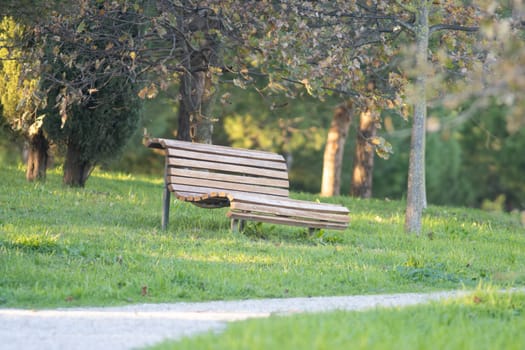 An empty park bench is empty and sits in a grassy field. The bench is wooden and has a slanted back. The park is a peaceful and serene place to relax and enjoy nature