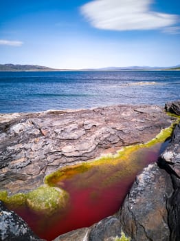 Bright red coloured rockpool due to bloom of algae.