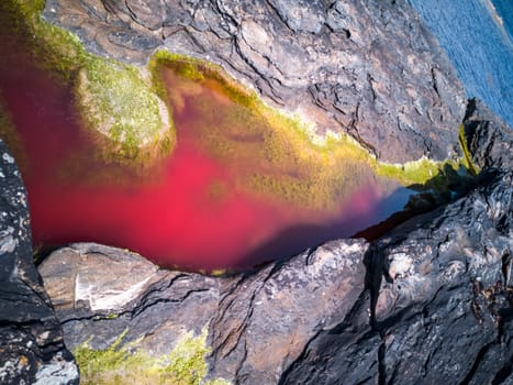 Bright red coloured rockpool due to bloom of algae.