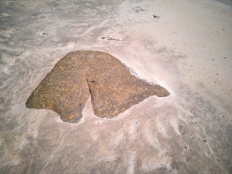 The famous back shaped stone and a compass jellyfish at Narin Strand by Portnoo, County Donegal Ireland.