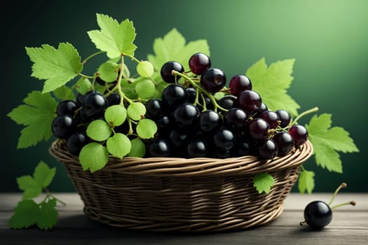 fresh black currant in basket isolated on green background .