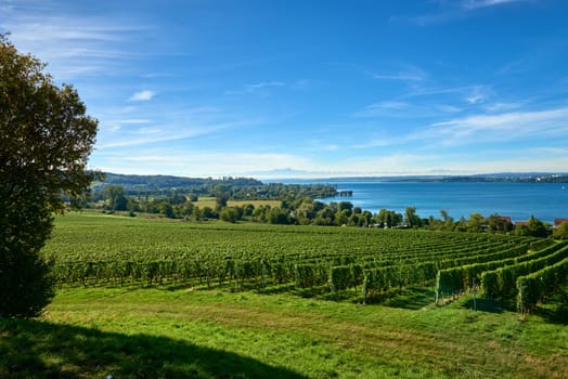 Bodensee Panorama: Alps on the Horizon, Vineyards, and Pastoral Beauty. Alpine Horizon: Bodensee, Vineyards, and Quaint Villages in the German Countryside. Vineyard Vistas: Bodensee, Alpine Peaks, and the Rural Charm of German Agriculture. Rural Tranquility: Bodensee Overlooking Pastures, Vineyards, and Traditional Villages,