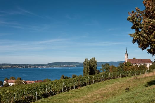 Bodensee Panorama: Alps on the Horizon, Vineyards, and Pastoral Beauty. Alpine Horizon: Bodensee, Vineyards, and Quaint Villages in the German Countryside. Vineyard Vistas: Bodensee, Alpine Peaks, and the Rural Charm of German Agriculture. Rural Tranquility: Bodensee Overlooking Pastures, Vineyards, and Traditional Villages,