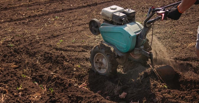 a male farmer works in the field on a walk behind a walk-behind tractor, plows the land with a plow