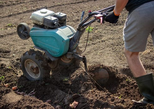 a male farmer works in the field on a walk behind a walk-behind tractor, plows the land with a plow