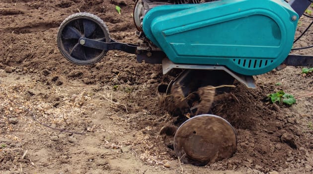 a male farmer works in the field on a walk behind a walk-behind tractor, plows the land with a plow.