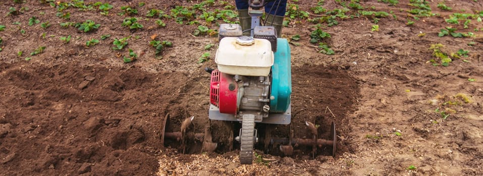 a male farmer works in the field on a walk behind a walk-behind tractor, plows the land with a plow.