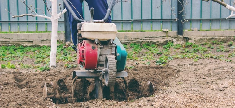 a male farmer works in the field on a walk behind a walk-behind tractor, plows the land with a plow.