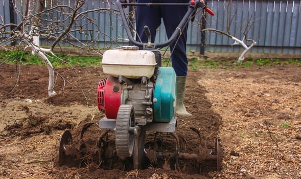 a male farmer works in the field on a walk behind a walk-behind tractor, plows the land with a plow.