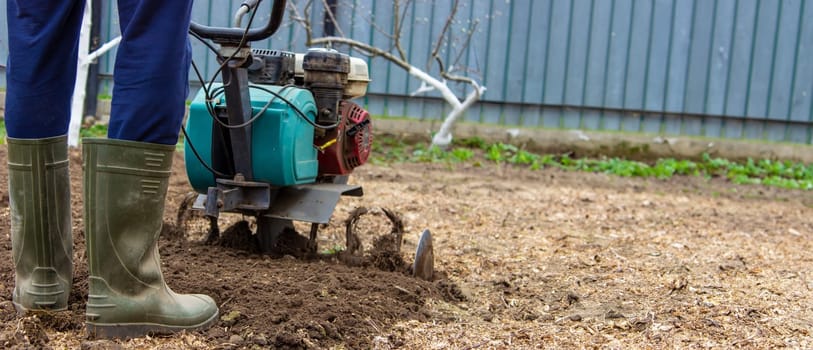 a male farmer works in the field on a walk behind a walk-behind tractor, plows the land with a plow.