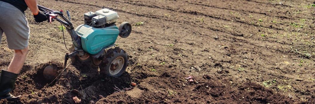 a male farmer works in the field on a walk behind a walk-behind tractor, plows the land with a plow
