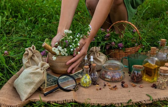 A woman collects medicinal herbs and makes herbal tincture