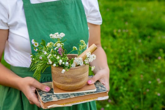 A woman collects medicinal herbs and makes herbal tincture