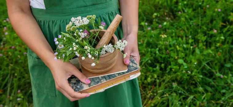 A woman collects medicinal herbs and makes herbal tincture