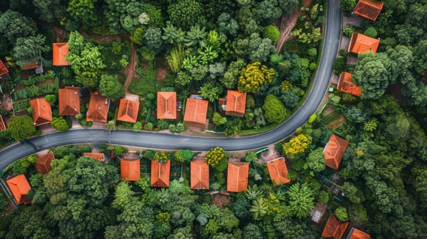 An aerial view of a winding road through the forest
