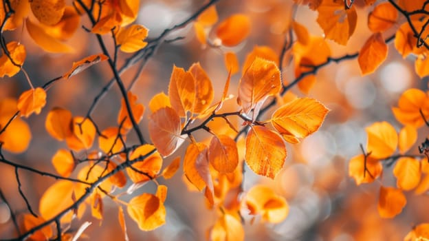 A close up of a tree branch with orange leaves