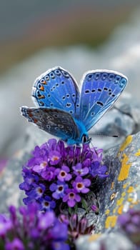 A butterfly sitting on a purple flower with other flowers