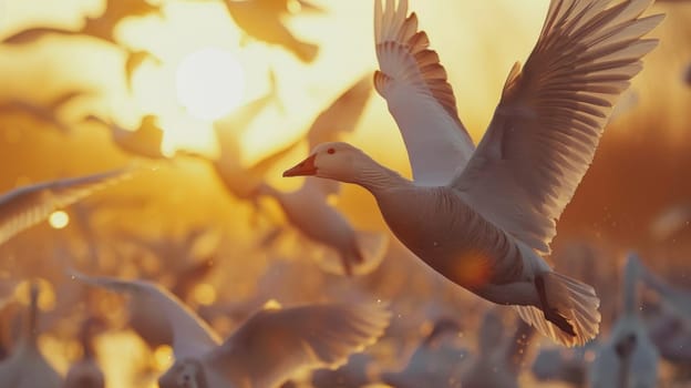 A flock of birds flying in the sky with a sunset behind them