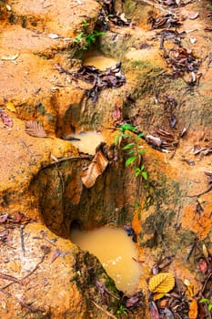 Beautiful waterfall on Doi Suthep Hiking Trail Wat Pha Lat in tropical jungle nature forest in Chiang Mai Amphoe Mueang Chiang Mai Thailand in Southeastasia Asia.