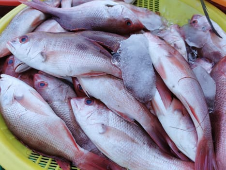 Freshly caught fish on the market texture pattern in Zicatela Puerto Escondido Oaxaca Mexico.