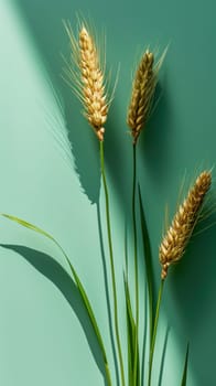 Three ears of wheat are shown on a green background