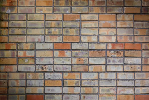 the old yellow brick wall 2