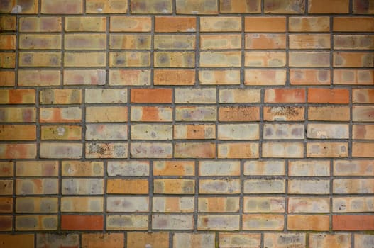 the old yellow brick wall 1