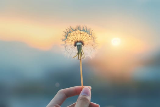 A hand holding a dandelion in a dark blue background.