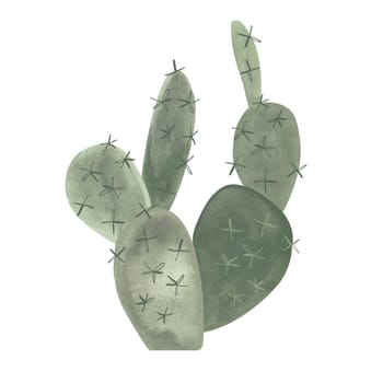 Prickle pear. Cactus. Plants for the home. Floriculture. Desert flora. Isolated watercolor illustration on white background. Clipart