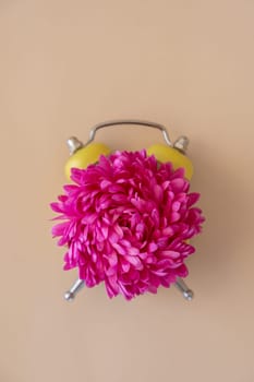 Composition of flower and alarm clock. Concept of changing summer winter time on beige background. Flat lay, top view