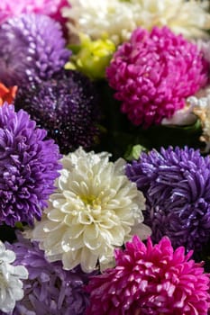 Colorful bouquet of flowers background. Mixed flowers vivid colors. Colourful pattern texture backdrop for advertisement