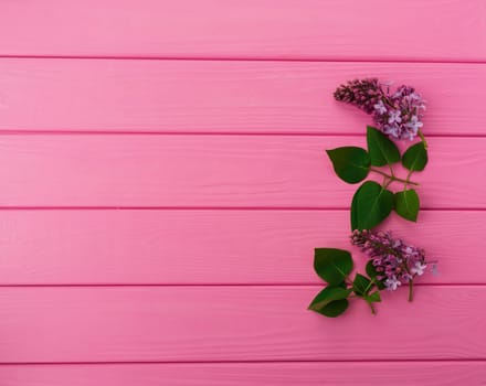 Summer abstract background mockup template free copy space for text pattern sample top view above on pink wooden board. blank empty area for inscription. in corners flowers borders frames lilac bloom