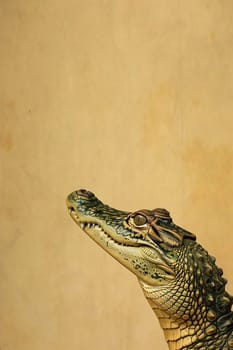 Dramatic side view of a crocodile head against a beige backdrop, perfect for educational content, wildlife conservation topics, and striking creative projects. Copy space for text. Generative AI