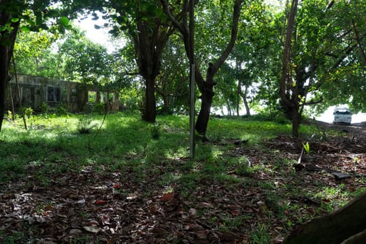 abandoned resort hotel in the tropical jungle